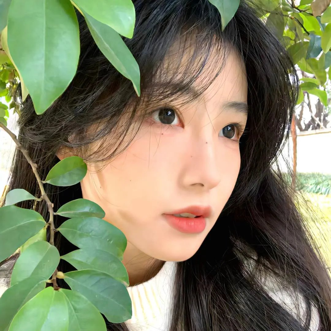 请求庇护