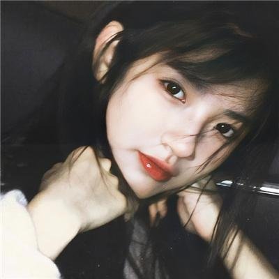 啄木鸟伍迪2